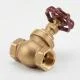 globe-valve-1-2