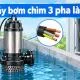 may-bom-chim-3-pha