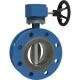 double-flange-butterfly-valve-2