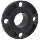 Flange SCH 80