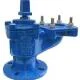 Isolation valve flange