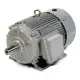 Motor inox