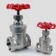 Stainless steel gate valve