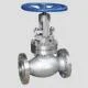 Stainless steel globe valve
