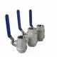 van-bi-2pc-inox-304-3