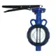Van bướm inox