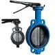 Van bướm thân gang cánh inox