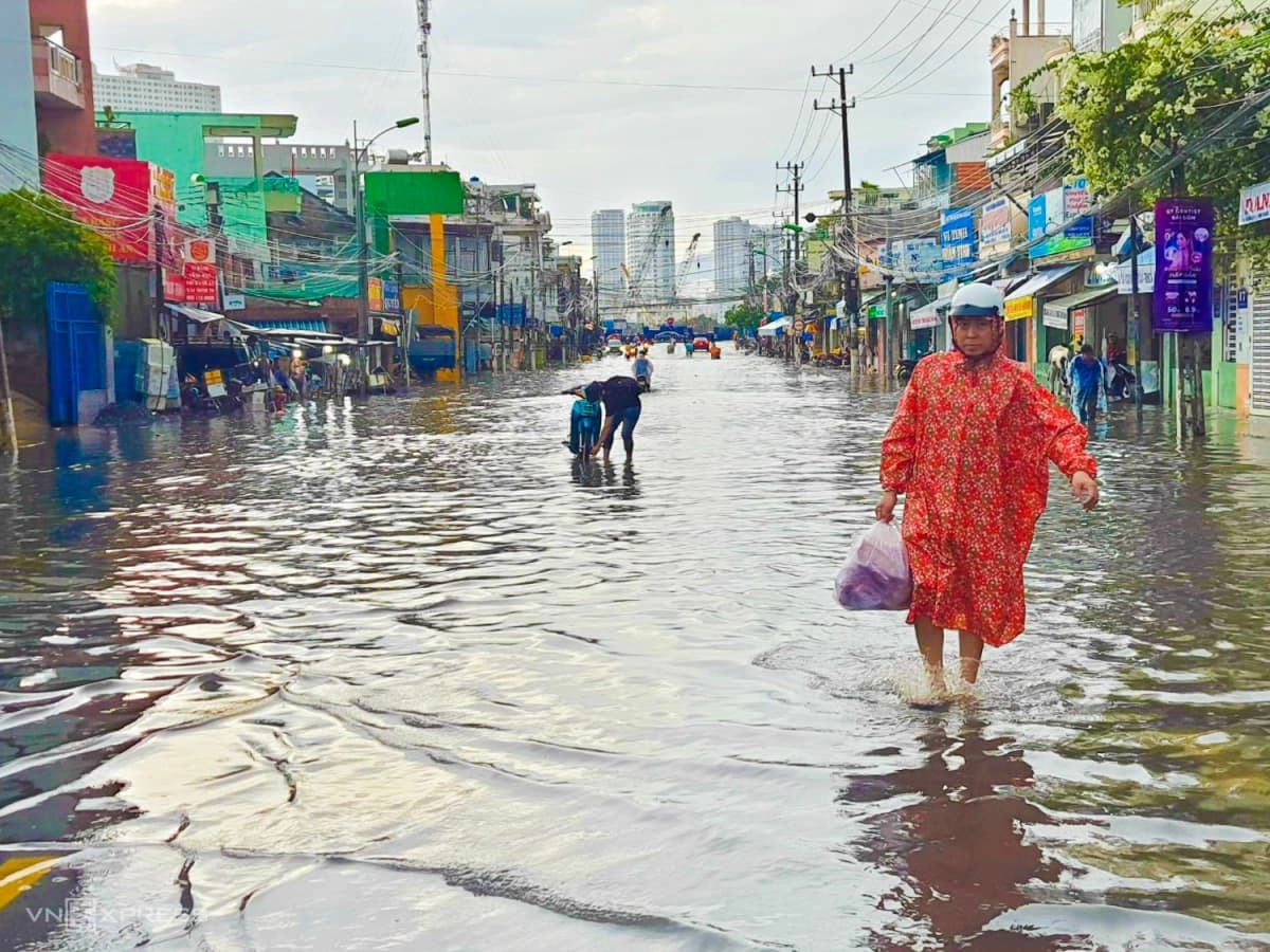 Dự án CCSEP Nha Trang