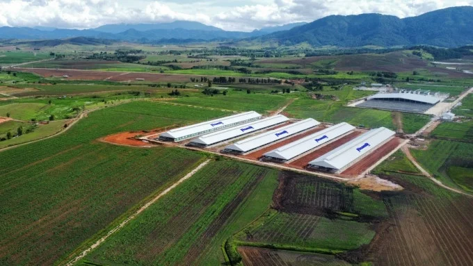 Trang trại Vinamilk Lào - Jagro tại cao nguyên Xiêng Khoảng, Lào có tổng mức đầu tư giai đoạn một 150 triệu USD
