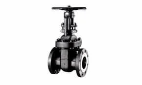 Hình ảnh minh họa (3)