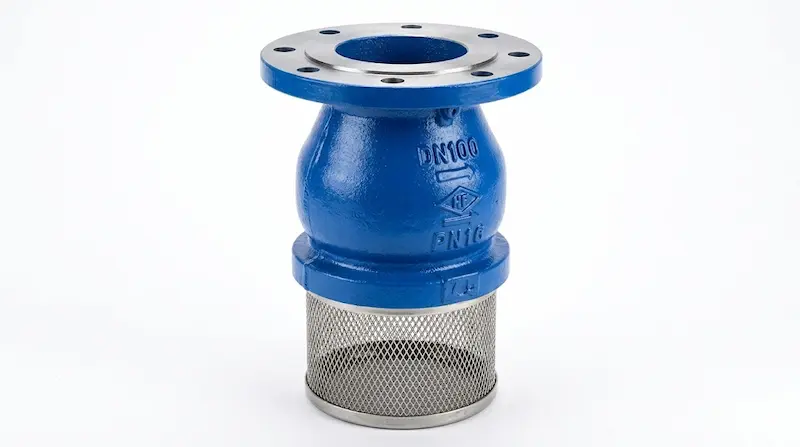 Giới thiệu chi tiết về rọ bơm