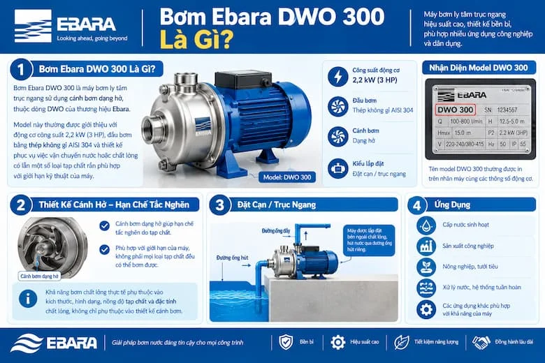 Hình ảnh giới thiệu máy bơm Ebara DWO 300 với thiết kế bơm ly tâm trục ngang, đầu bơm bằng thép không gỉ AISI 304 và cánh bơm dạng hở