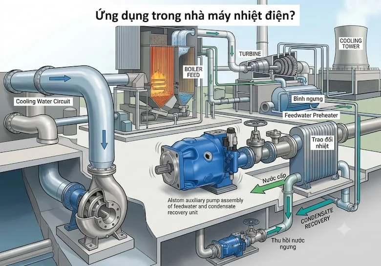 ình ảnh sơ đồ kỹ thuật mô tả vai trò then chốt của dòng máy bơm công nghiệp Alstom trong chu trình vận hành nhà máy nhiệt điện