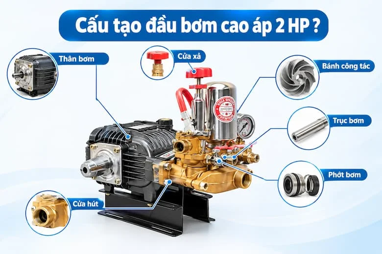 Ảnh minh họa cấu tạo đầu bơm cao áp 2HP với các bộ phận chính như thân bơm, bánh công tác, trục bơm, phớt bơm, cửa hút và cửa xả được thể hiện trực quan.