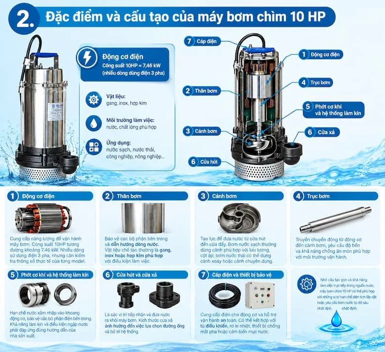 Hình ảnh chi tiết giới thiệu về cấu tạo và đặc điểm