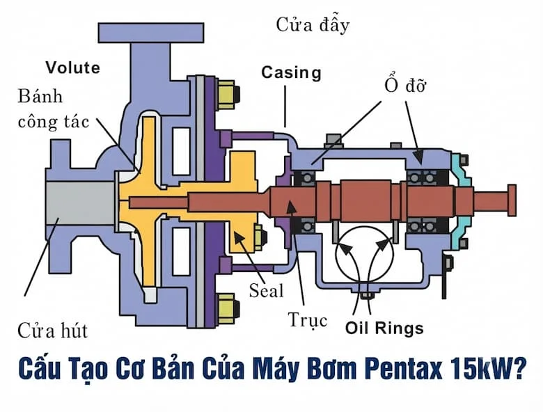 Cấu tạo máy bơm Pentax 15kW gồm động cơ, đầu bơm, cánh bơm và trục bơm