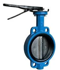 Hình ảnh minh họa (3)