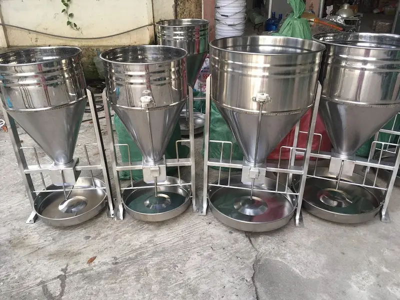 Hình ảnh minh họa (3)