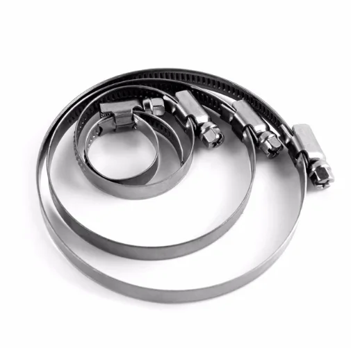 Hình ảnh minh họa (3)