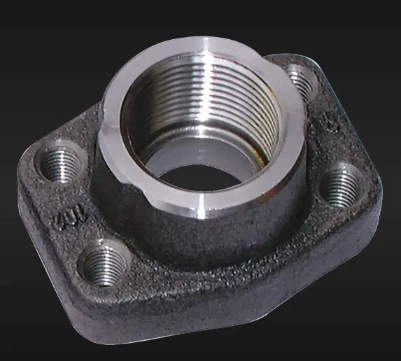 Hình ảnh minh họa (2)