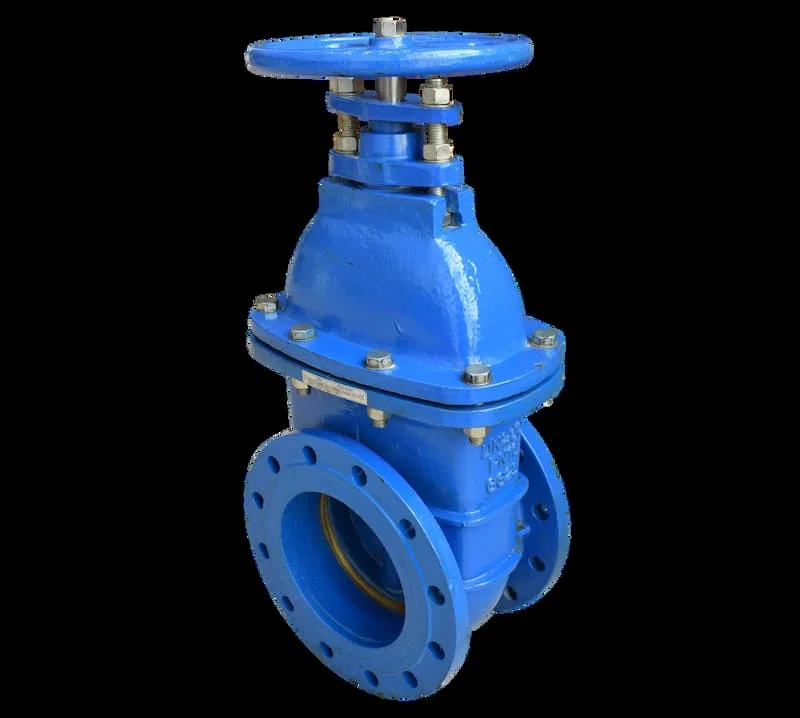 Hình ảnh minh họa (3)