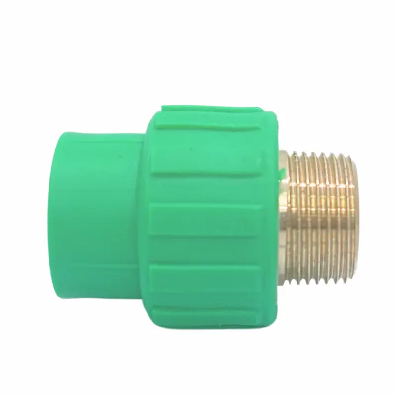 Hình ảnh minh họa (1)