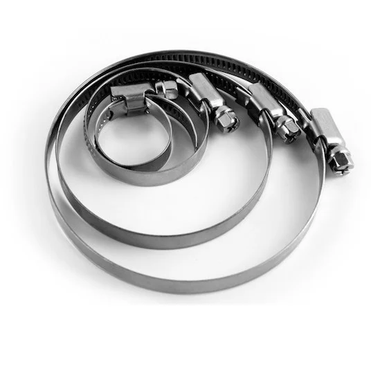 Hình ảnh minh họa (3)