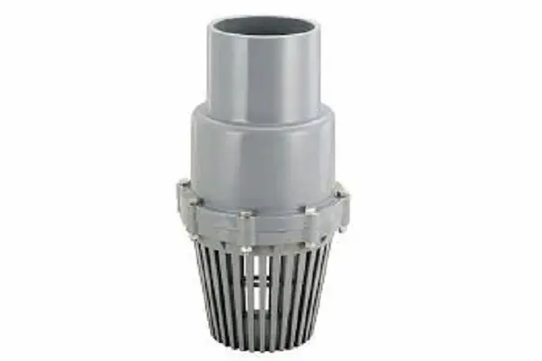 Hình ảnh minh họa (2)