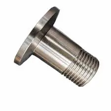 Hình ảnh minh họa (2)